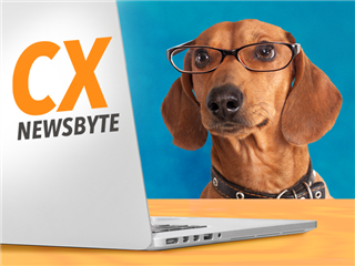 A dog with glasses looking at a laptop that says, "CX Newsbyte" on it.